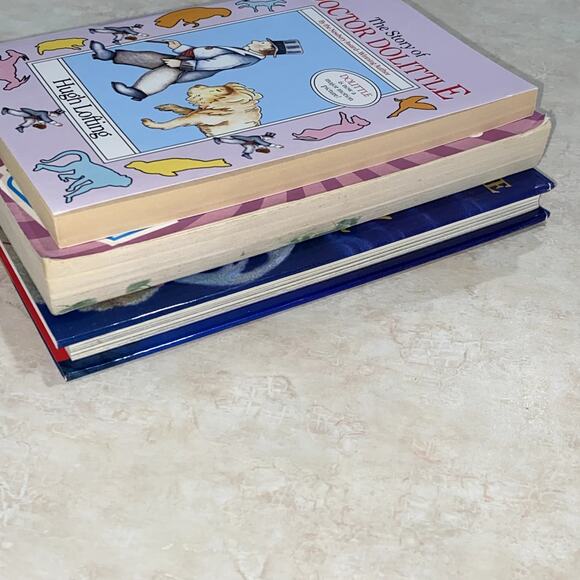 3 Kids Books Bundle DOCTOR DOLITTLE, DORK DIARIES, & WHEN SANTA FELL TO EARTH - Picture 10 of 12